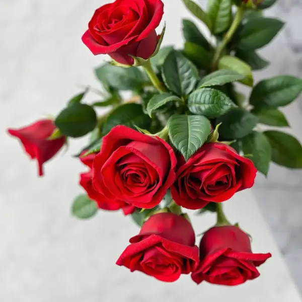 Red Rose Bouquet