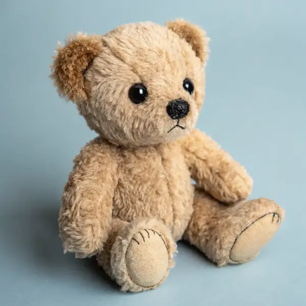 Plush Teddy Bear