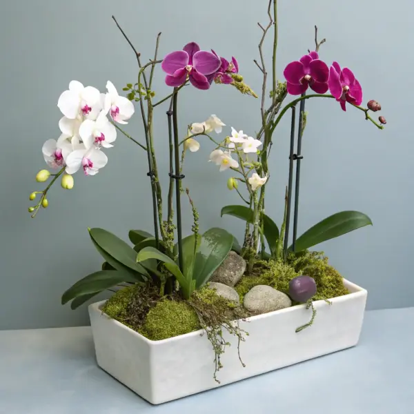 Orchid Centerpiece