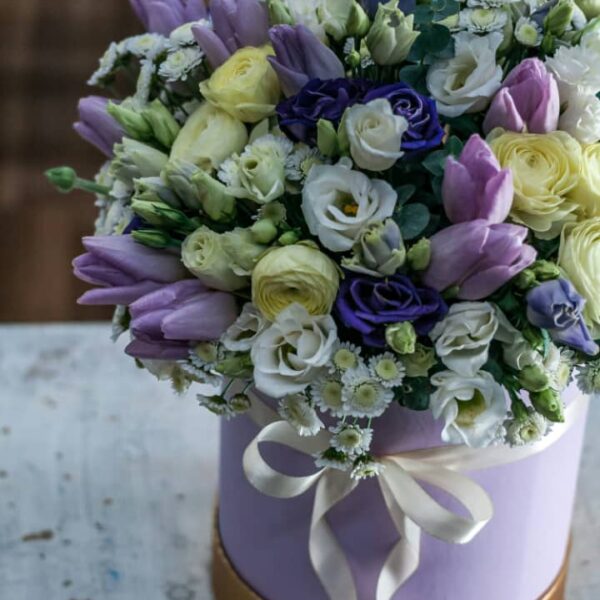Lavender Dreams